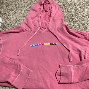 David’s Vlog Hoodie